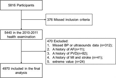 Combined effect of inter-arm systolic blood pressure difference and carotid artery plaque on cardiovascular diseases and mortality: A prospective cohort study